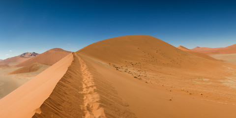 Fototapeta na wymiar Top of Dune 45 at Sossusvlei