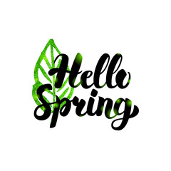 Hello Spring Green Inscription