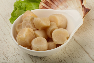 Raw scallops heap