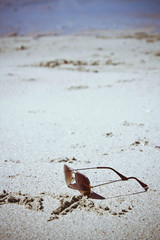 Sunglasses on sand beach with sea background