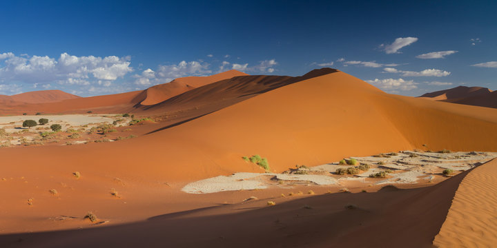 Panorama of the dune landscape at Sossusvlei
