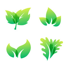 Green leaf eco design friendly nature elegance symbol and natural element ecology organic vector illustration.