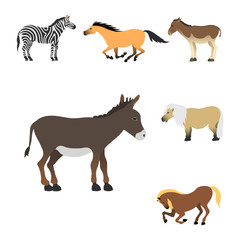 Horse pony stallion isolated different breeds color farm equestrian animal characters vector illustration.