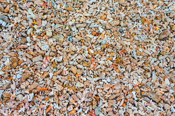 Beach of colorful coral