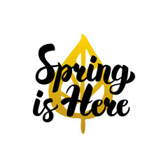 Spring is Here Handwritten Lettering