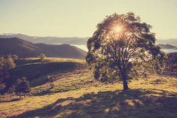 Summer sunny morning at mountain hills