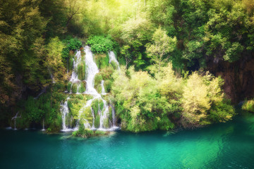 Beautiful green forest waterfall