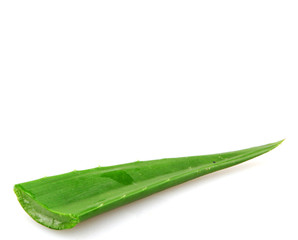 Aloe vera plant isolated on white.