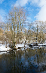 Fototapeta na wymiar Sunny winter landscape with flowing river