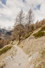 Zermatt, Dorf, Findelbach, Findelschlucht, Findeln, Weiler, Wanderweg, Naturweg, Alpen, Schweizer Berge, Frühling, Frühlingssonne, Wallis, Schweiz