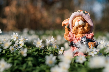 Oster Motiv mit Osterhasen