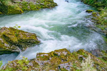 Naklejka na ściany i meble Flowing river, Vintgar Gorge, Slovenia