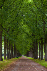 Gardens of Herrenhausen