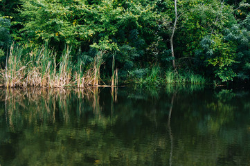 Lake reflection