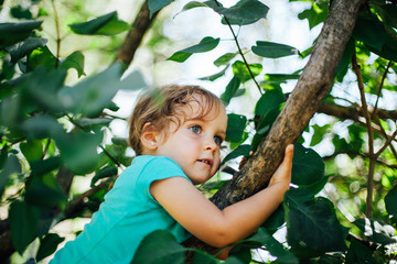 Clinging to a tree