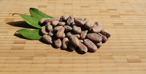 Kakaobohnen mit Blatt