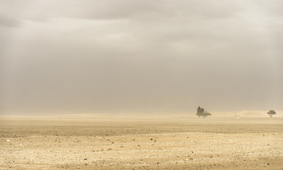 The sandstorm is coming