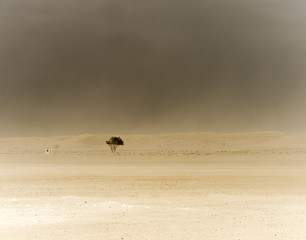 The sandstorm is coming