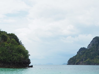 Fototapeta premium OLYMPUS DIGITAL CAMERA