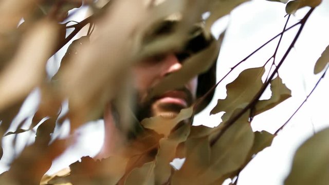 Military man standing behind the leaves