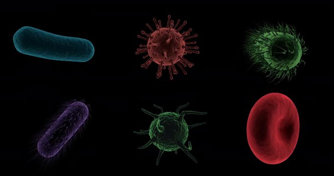Digitally generated virus cells, red blood cells and bacteria against black background