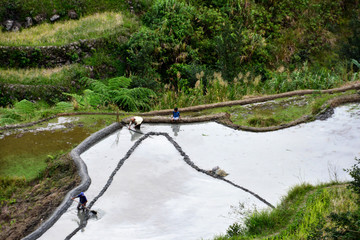 Philippines Rice fields of Banaue