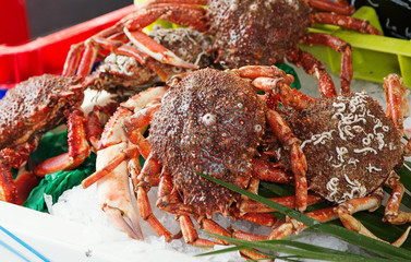 Fototapeta na wymiar Spider crabs for sale at French provincial market