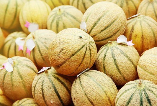 Charentais melons at farmer's market