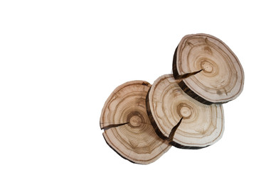 Three isolated on white background larch transverse saw cuts.