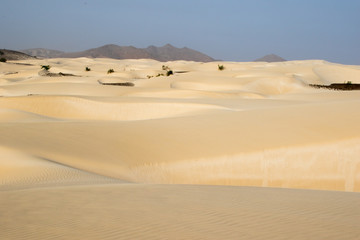 Fototapeta na wymiar Sand desert in Cape Verdi