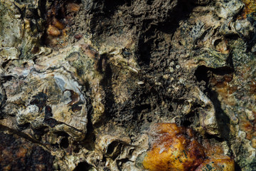 Texture of sea stone with rust.