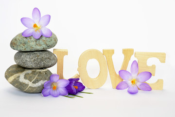 Empty white background with cairn zen stones and purple crocus flower with love letters