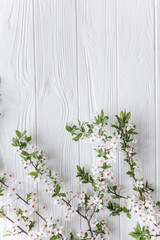 spring flower on white wooden background.mothers day.space for your text