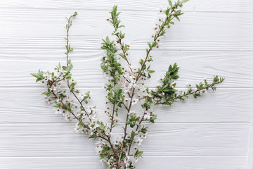 spring flower and on wooden background.mothers day