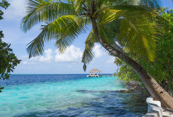 Fototapeta na wymiar Tropical sand beach, palms and blue sky 