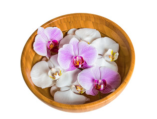 Bowl of orchids floating in water isolated on white background