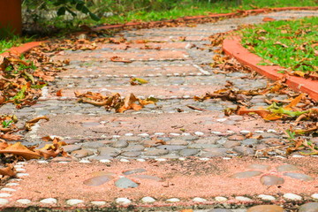 Stone block walkway path in the park dry leaf drop in autumn :Select focus with shallow depth of field.