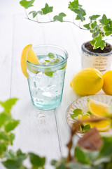 Fototapeta premium lemon & water