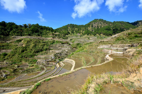 Philippines Rice fileds of Maligcong