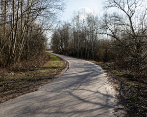 Country Road with perspective