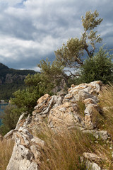 Dzikie skały porośnięte roślinnością na tle dramatycznego nieba. 