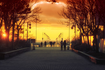 Pier in the winter - Jurata, Poland