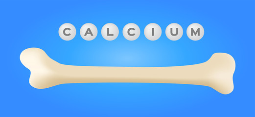 bone calcium vector