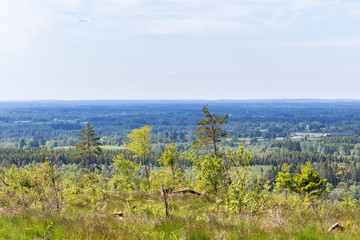View from a clearcut over woodlands