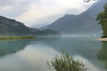 Veduta del Lago di Cavazzo in Friuli Venezia Giulia con flora e fauna