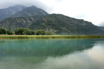 Veduta del Lago di Cavazzo in Friuli Venezia Giulia con flora e fauna