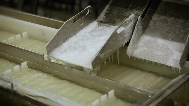 Fish Processing Plant. Washing. White Plastic Conveyer in Two Lines Moving in Water. Pieces of Fish Sliding Down. Crystal of Solt on Side
