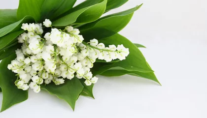 Lichtdoorlatende rolgordijnen Lelietje-van-dalen bouquet de muguet frais et feuilles sur fond blanc