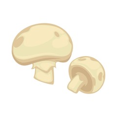 Fototapeta premium Big and small white champignon with gray spots isolated