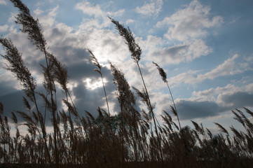 Fototapeta premium kontrastreicher himmel